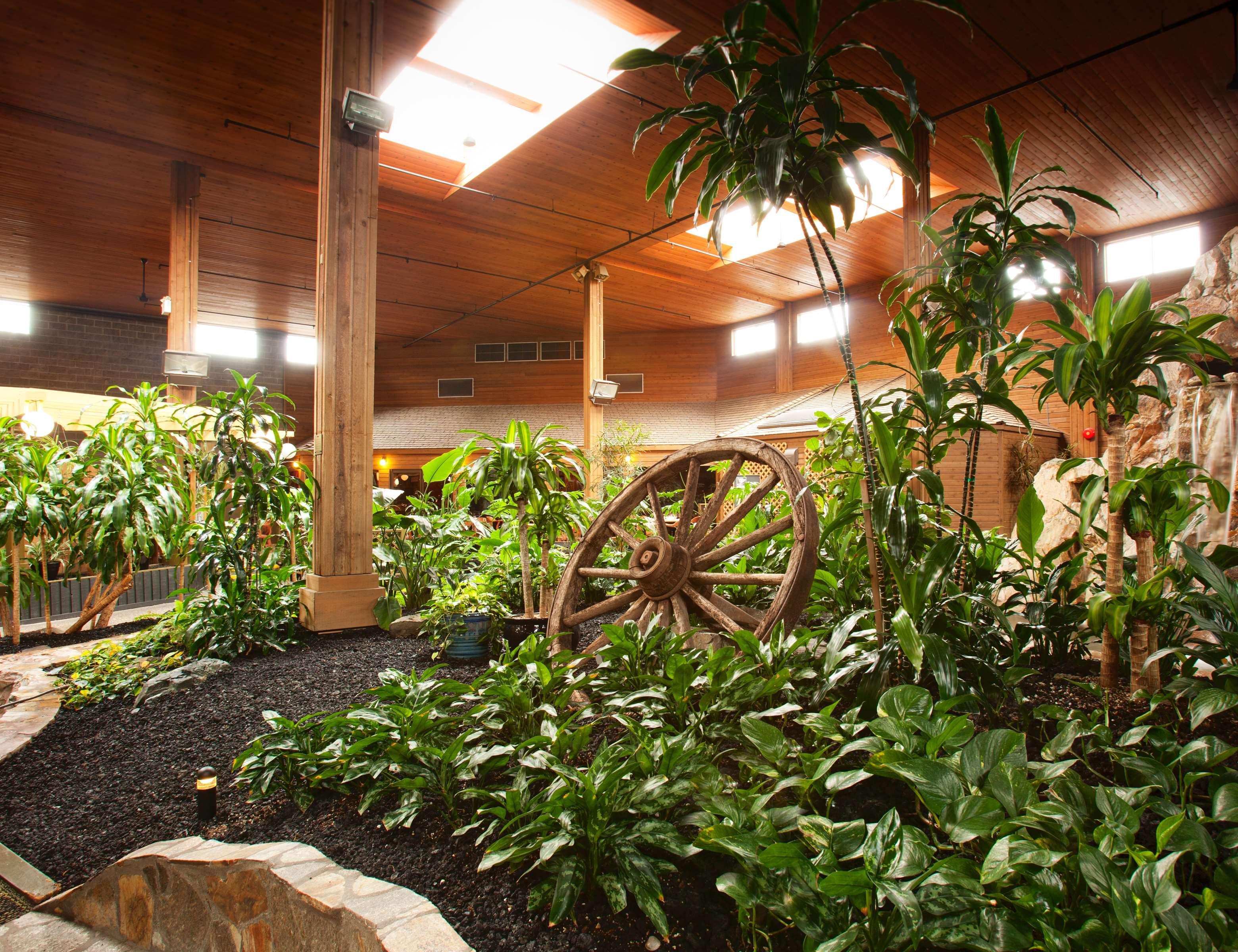 Best Western Premier Ashton Suites - Willowbrook Houston Exterior photo